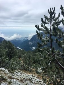 Growing minds, expanding hearts - Hiking Mount Olympus FullSizeRender 18